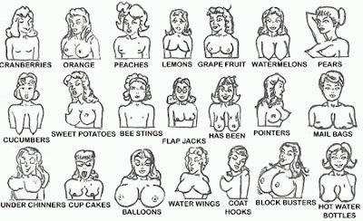 Know Different boob colors